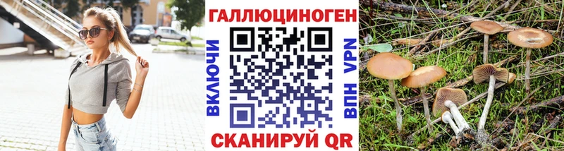 хочу наркоту  Дмитровск  Галлюциногенные грибы Psilocybine cubensis 